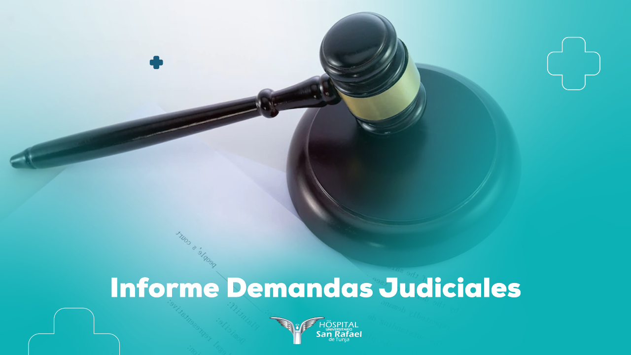 Informe Demandas Judiciales