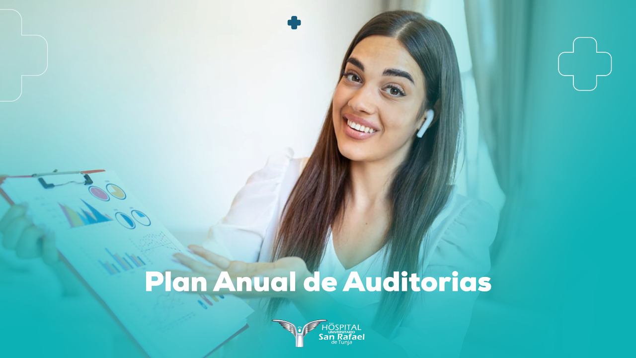 Plan Anual de Auditorias